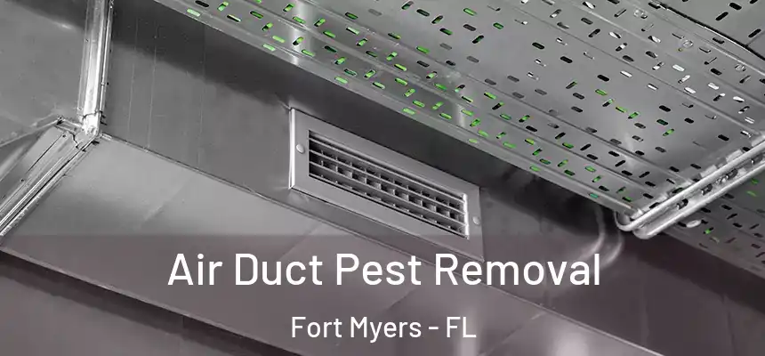 Air Duct Pest Removal Fort Myers - FL