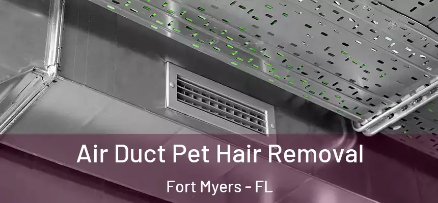 Air Duct Pet Hair Removal Fort Myers - FL