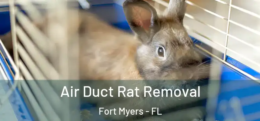 Air Duct Rat Removal Fort Myers - FL
