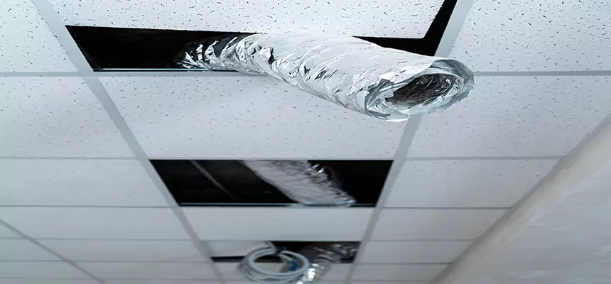 Our Air Duct Pet Hair Removal Services in Fort Myers, FL