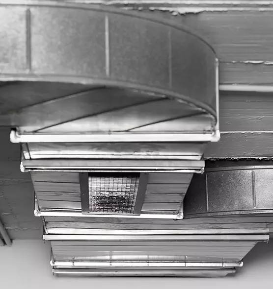 Professional Air Duct Pet Hair Removal in Fort Myers, FL